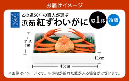 かに 紅ずわいがに≪浜茹で≫ × 1杯 この道50年の職人が選びました！【1月発送分】【カニ 蟹 姿 冷蔵 福井県】【紅ズワイガニ 紅ずわい蟹 ボイル】希望日指定可 備考欄に希望日をご記入ください [e04-x013_01]