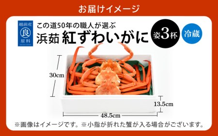 かに 紅ずわいがに≪浜茹で≫ × 3杯 この道50年の職人が選びました！【12月発送分】【カニ 蟹 姿 冷蔵 福井県】【紅ズワイガニ 紅ずわい蟹 ボイル】希望日指定可 備考欄に希望日をご記入ください [e04-x014_12]