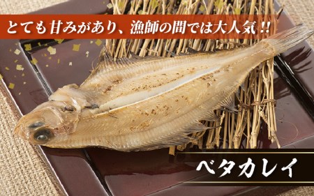 越前産 かれい「一夜干しカレイ3種セット（合計6～9尾）」【かれい カレイ 鰈】 [e15-a001]