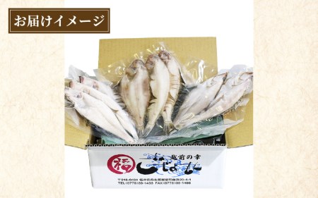 越前産 かれい「一夜干しカレイ3種セット（合計6～9尾）」【かれい カレイ 鰈】 [e15-a001]