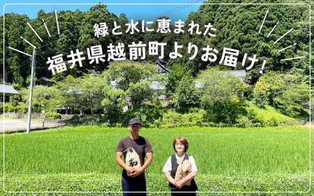 【新米・先行予約】定期便≪3ヶ月連続お届け≫ お米 こしひかり 5kg×3回（計15kg）（精米）令和8年 福井県産 炊きたての美味しさを追求したお米【2026年10月下旬以降順次発送開始！】【米 コメ kome 5キロ 3か月 計 15キロ 精米 白米 人気品種 便利 】 [e47-e005]