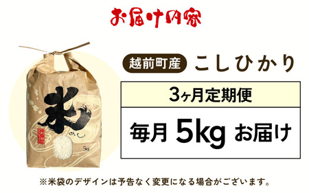 【新米・先行予約】定期便≪3ヶ月連続お届け≫ お米 こしひかり 5kg×3回（計15kg）（精米）令和8年 福井県産 炊きたての美味しさを追求したお米【2026年10月下旬以降順次発送開始！】【米 コメ kome 5キロ 3か月 計 15キロ 精米 白米 人気品種 便利 】 [e47-e005]