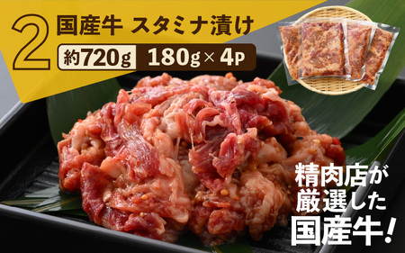 定期便 ≪3ヶ月連続お届け≫ お楽しみ　お肉屋さんの自家製タレ味付け肉　国産牛　国産豚[e03-b002]