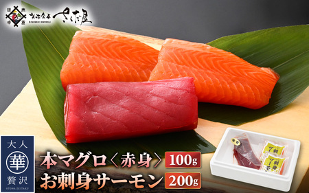 お刺身 セット サーモン 100g × 2P ＆ 本まぐろ 赤身 100g × 1P 【福井県 冷凍 小分け 刺身 鮭 マグロ】 [e04-a088]