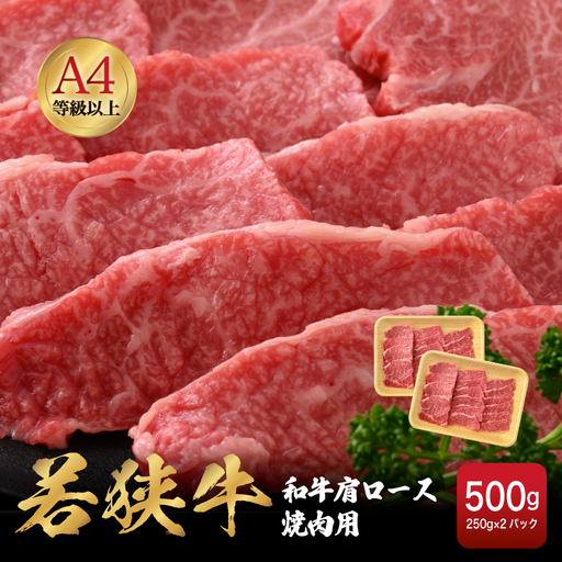 【ブランド肉】若狭牛 和牛肩ロース 焼肉用 計500ｇ 国産肉 冷凍 [e02-b009]