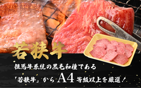 【ブランド肉】若狭牛 和牛ロース 焼肉用 計500g 国産肉 冷凍 [e02-c011]
