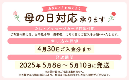 【先行予約】【母の日限定】母の日 ギフト そのまま飾れる花 フラワーアレンジメント【2025年5月発送】 生花 母の日の感謝 大切な人に！メッセージカードと共に越前和紙 小花1輪付 母の日ギフト 母の日飾る 母の日喜ばれる  母の日お祝 母の日 贈答品 母の日生花 母の日メッセージカード 母の日花 母の日フラワーギフト 母の日お花 母の日 母の日 母の日 母の日 母の日 母の日 母の日 母の日 母の日 母の日 母の日 母の日 母の日 母の日 母の日 母の日 母の日 母の日 母の日 母の日 母の日 母の日 母の日 母の日 母の日 母の日 母の日 母の日 母の日 母の日   [e51-a006]