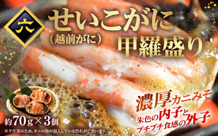 定期便 ≪6ヶ月連続お届け≫ お楽しみ 海鮮 セット【カニ ずわいがに えび 明太子 鯖 カレイ漬け丼 冷凍 小分け 】 [e15-g002]