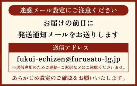 越前がに本場の越前町からお届け！越前がに浜茹で中サイズ（生で600〜700g）×2杯【12月発送】 [e23-x009_12] 越前町 雄 ズワイガニ ボイル 冷蔵 越前がに 越前ガニ 越前かに 越前カニ