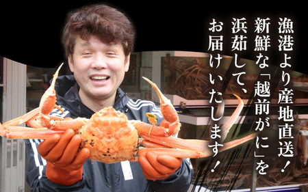 【蟹本場 】 越前町から！ 越前がに浜茹で特大（生で1.3kg以上）1杯【2月発送】 [e43-x007_02] 