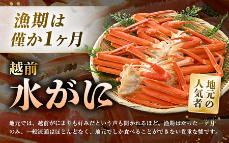 【先行予約】地元でしか出回らない越前水がに 6肩 茹でたて瞬間冷凍で直送【2026年2月下旬以降順次発送予定】【カニ ガニ 蟹 ズワイガニ ずわいがに 越前水がに 越前かに 越前蟹 水がに 新鮮 地元限定 ボイル 冷凍 片脚 脚のみ 人気】[m36-c004]