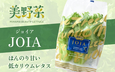 低カリウムレタス 美野菜 「JOIA」 5袋 クリーンルーム栽培 無農薬 鮮度長持ち 【野菜 生野菜 レタス サラダ 水耕栽培 洗わず食べられる 時短 付け合わせ】レタス フリルレタス 野菜 サラダ ダイエット ヘルシー レタス フリルレタス 野菜 サラダ ダイエット ヘルシー レタス フリルレタス 野菜 サラダ ダイエット ヘルシー レタス フリルレタス 野菜 サラダ ダイエット ヘルシー レタス フリルレタス 野菜 サラダ ダイエット ヘルシー レタス フリルレタス 野菜 サラダ ダイエット ヘルシー レタス フリルレタス 野菜 サラダ ダイエット ヘルシー  [m40-a009]