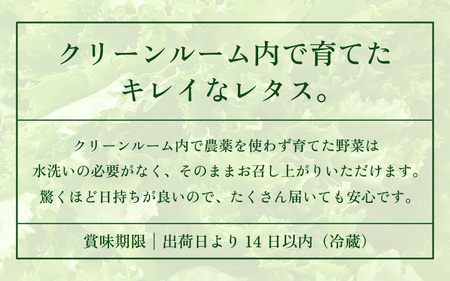 低カリウムレタス 美野菜 「JOIA」 5袋 クリーンルーム栽培 無農薬 鮮度長持ち 【野菜 生野菜 レタス サラダ 水耕栽培 洗わず食べられる 時短 付け合わせ】レタス フリルレタス 野菜 サラダ ダイエット ヘルシー  [m40-a009]