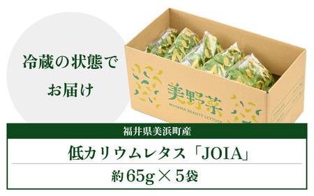 低カリウムレタス 美野菜 「JOIA」 5袋 クリーンルーム栽培 無農薬 鮮度長持ち 【野菜 生野菜 レタス サラダ 水耕栽培 洗わず食べられる 時短 付け合わせ】レタス フリルレタス 野菜 サラダ ダイエット ヘルシー レタス フリルレタス 野菜 サラダ ダイエット ヘルシー レタス フリルレタス 野菜 サラダ ダイエット ヘルシー レタス フリルレタス 野菜 サラダ ダイエット ヘルシー レタス フリルレタス 野菜 サラダ ダイエット ヘルシー レタス フリルレタス 野菜 サラダ ダイエット ヘルシー レタス フリルレタス 野菜 サラダ ダイエット ヘルシー  [m40-a009]