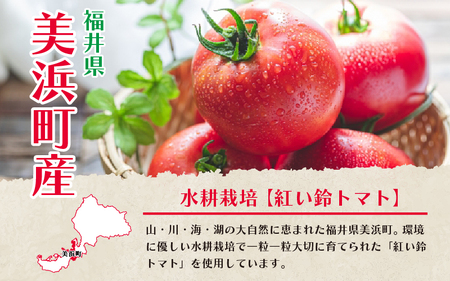 美浜町産 紅い鈴のトマトピューレ 2個セット[m03-a014]