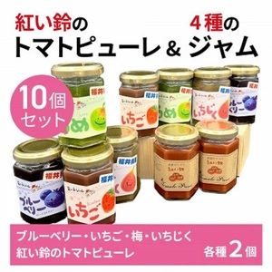 美浜町産 紅い鈴のトマトピューレ&福井県産フルーツのジャム スマイルセット （トマトピューレ 苺ジャム 梅ジャム いちじくジャム ブルーベリージャム 各2個）[m03-b012]