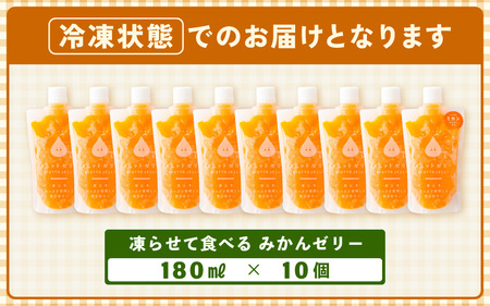アイスゼリー みかんゼリー × 10個 詰め合わせ ゼリー アイス  【ギフト 母の日 父の日 こどもの日 敬老の日】[m01-a046]