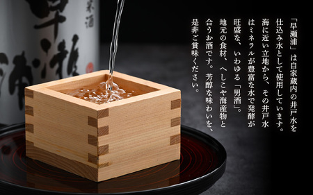 入手困難【早瀬浦】純米吟醸 山田錦 720ml × 1本【日本酒 地酒 福井 美浜 早瀬 フルーティ 男酒 硬水 ミネラル 希少 ご褒美 家飲み 敬老の日 プレゼント】[m16-a028]