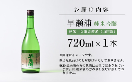 入手困難【早瀬浦】純米吟醸 山田錦 720ml × 1本【日本酒 地酒 福井 美浜 早瀬 フルーティ 男酒 硬水 ミネラル 希少 ご褒美 家飲み 敬老の日 プレゼント】[m16-a028]