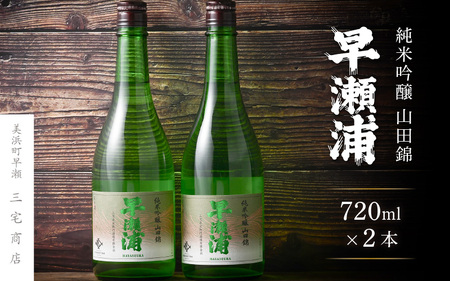 入手困難【早瀬浦】純米吟醸 山田錦 720ml × 2本 セット【日本酒 地酒 福井 美浜 早瀬 フルーティ 男酒 硬水 ミネラル 希少 ご褒美 家飲み 敬老の日 プレゼント】[m16-b023]
