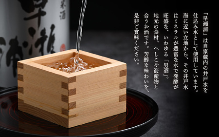 入手困難【早瀬浦】純米吟醸 山田錦 720ml × 2本 セット【日本酒 地酒 福井 美浜 早瀬 フルーティ 男酒 硬水 ミネラル 希少 ご褒美 家飲み 敬老の日 プレゼント】[m16-b023]