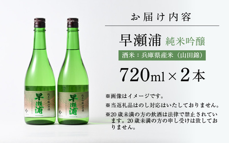 入手困難【早瀬浦】純米吟醸 山田錦 720ml × 2本 セット【日本酒 地酒 福井 美浜 早瀬 フルーティ 男酒 硬水 ミネラル 希少 ご褒美 家飲み 敬老の日 プレゼント】[m16-b023]