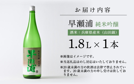 入手困難【早瀬浦】純米吟醸 山田錦 1800ml × 1本【日本酒 地酒 福井 美浜 早瀬 フルーティ 男酒 硬水 ミネラル 希少 ご褒美 家飲み 敬老の日 プレゼント】[m16-b022]
