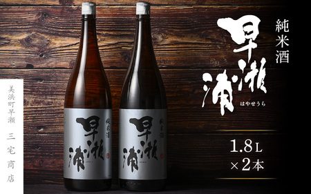 入手困難【早瀬浦】純米酒 1800ml × 2本(のし無し)【日本酒 地酒 福井 美浜 早瀬 フルーティ 男酒 硬水 ミネラル 希少 ご褒美 家飲み 敬老の日 プレゼント】[m16-b029]