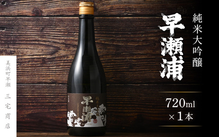入手困難【早瀬浦】純米大吟醸 720ml × 1本【 日本酒 地酒 福井 美浜 早瀬 フルーティ 男酒 硬水 ミネラル 希少 ご褒美 家飲み 就職祝い 転職祝い ハレの日 敬老の日 プレゼント】 [m16-b028]