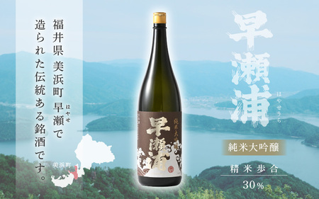 入手困難【早瀬浦】純米大吟醸 1800ml × 1本(のし無し)【日本酒 地酒 福井 美浜 早瀬 フルーティ 男酒 硬水 ミネラル 希少 ご褒美 家飲み 敬老の日 プレゼント】[m16-e006]