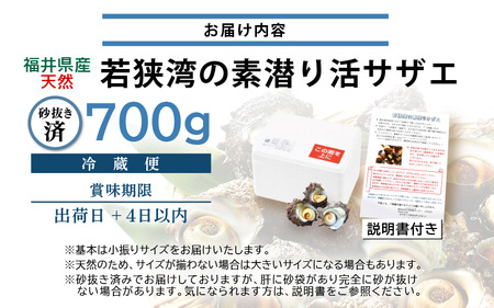 若狭湾の素潜り 天然 活サザエ 合計約700g (6～10個) 説明書付き【サザエ さざえ 貝 天然 海産物 刺身 お造り 海の幸 BBQ つぼ焼き 壺焼き 佃煮】 [m17-a047]