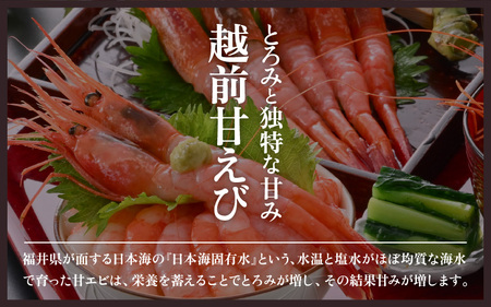 天然！越前甘エビ(卵なし)大サイズ 30尾前後(約500g × 1箱) 解凍方法説明書付き 船内凍結 酸化防止剤不使用！ 甘エビ本来の味をお楽しみください えび エビ 海老 甘エビ 甘えび 人気 海鮮 お刺身 魚介 おせち 無添加 冷凍 福井県産 国産[m17-a052]