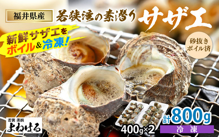 素潜り 天然 サザエ ボイル済み 約14～18個 約800g (400g×2P) 説明書付き 若狭湾産 新鮮な素潜り活サザエをボイル＆冷凍 柔らかくて美味しい小振りサイズのみ厳選！ 地元で大人気！ つぼ焼き BBQ バーベキュー 佃煮 さざえ【配送不可地域:離島】 [m17-a051]