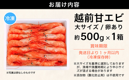 天然！越前甘えび(卵あり) 大サイズ 約500g × 1箱(約30尾入り) 解凍方法説明書付き 船内凍結 酸化防止剤不使用！甘エビ本来の味をお楽しみください えび エビ 海老 甘エビ 甘えび 人気 子持ち 海鮮 お刺身 おせち 無添加 冷凍 福井県産 [m17-a058]
