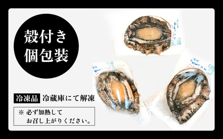 黒あわび  約500g (2～5個)【加熱用】天然 冷凍 あわび [m17-b001]