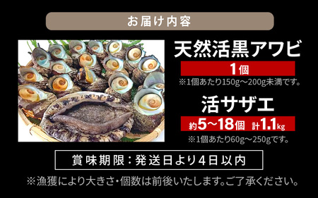 若狭湾の素潜り 天然 活黒アワビ 中サイズ 1個 ＆ 活サザエ 1.1kg【入手困難刺身 お造り バター焼き BBQ あわび さざえ アワビ サザエ 鮑 クロアワビ 黒あわび 】[m17-b006]