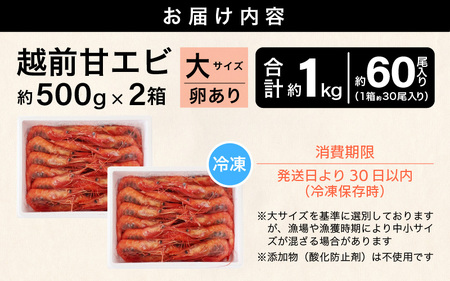 大好評！天然 越前甘エビ（卵あり）大サイズ 計約1kg（約500g × 2箱）（合計約60尾入り） 解凍方法説明書付き 船内凍結 酸化防止剤不使用！ 甘エビ本来の味をお楽しみください 【えび エビ 海老 甘エビ 甘えび 子持ち 海鮮 お刺身 おせち 無添加 福井県産 国産】[m17-c014]