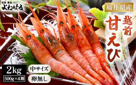 大好評！天然 越前甘えび（卵なし）中サイズ計2kg（500g × 4箱）（合計約140尾入り）解凍方法説明書付き 船内凍結 酸化防止剤不使用！ 甘えび本来の味をお楽しみください 【えび エビ 海老 甘エビ 甘えび 海鮮 お刺身 魚介 おせち 無添加 冷凍 福井県産】[m17-d009]