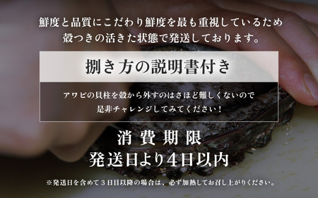 ≪おまかせ≫ 日本海若狭湾の 天然 活アワビ 計600g 鮮度抜群 刺身 お造り バター焼き BBQ あわび 鮑[m17-d006]