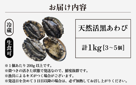 入手困難 日本海若狭湾の 天然 活黒アワビ 計1kg (3～5個) 大サイズ 鮮度抜群 刺身 お造り バター焼き BBQ あわび アワビ 鮑 クロアワビ 黒あわび [m17-j002]