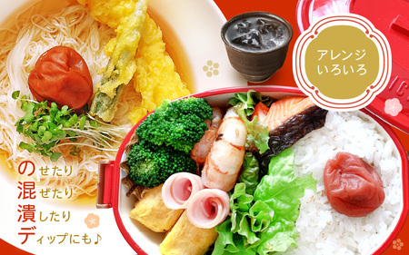 福井 梅干し Aセット（300g × 2個）【梅干 梅 うめ ウメ 無添加 しそ しそ梅 人気 敬老の日 ギフト プレゼント】[m20-a007]