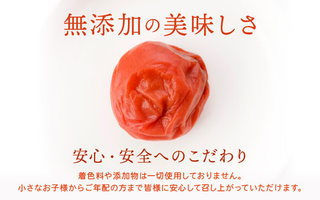 福井 梅干し Aセット（300g × 2個）【梅干 梅 うめ ウメ 無添加 しそ しそ梅 人気 敬老の日 ギフト プレゼント】[m20-a007]
