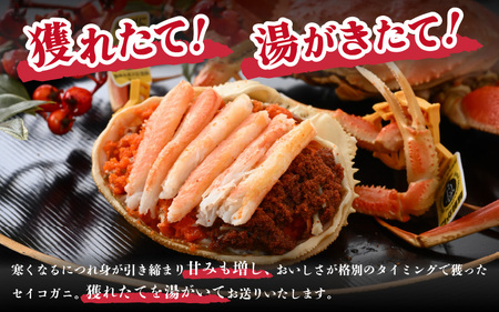 【冷凍】冬の味覚 旬のセイコガニ 中サイズ × 6匹 計800g以上 食べ方カラー説明書付き 全て地物！天然！ズワイガニメス [m21-c015]
