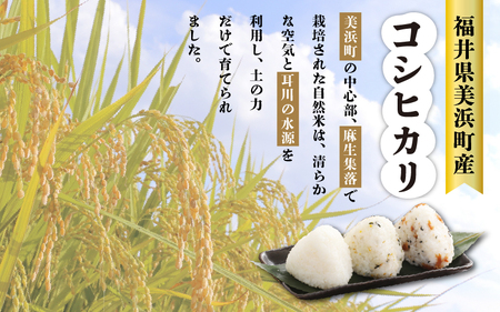 米 令和5年産 長谷川農園の コシヒカリ（白米） 計10kg （5kg × 2袋）[m22-a002]