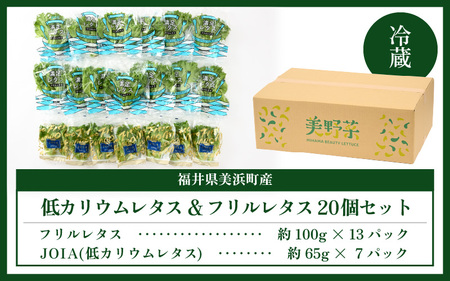 【福井県美浜町産】低カリウムレタス&フリルレタス　計20個セット【野菜 生野菜 レタス サラダ サンドイッチ お弁当 水耕栽培 洗わず食べられる 時短 付け合わせ ダイエット ヘルシー】レタス フリルレタス 野菜 サラダ ダイエット ヘルシー  [m40-a006]