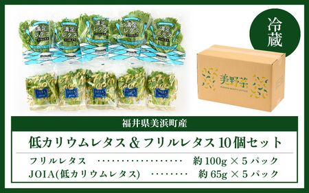【福井県美浜町産】低カリウムレタス&フリルレタス　計10個セット【野菜 生野菜 レタス サラダ サンドイッチ お弁当 水耕栽培 洗わず食べられる 時短 付け合わせ ダイエット ヘルシー】レタス フリルレタス 野菜 サラダ ダイエット ヘルシー  [m40-a005]