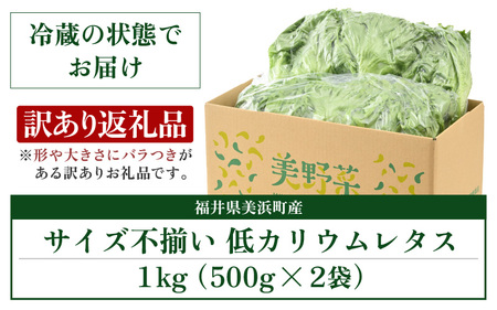 【訳あり】低カリウムレタス 1kg (500g×2袋) 不揃い クリーンルーム栽培 無農薬 鮮度長持ち 【野菜 生野菜 レタス サラダ 水耕栽培 洗わず食べられる 時短 付け合わせ 規格外】レタス フリルレタス 野菜 サラダ ダイエット ヘルシー [m40-a012]