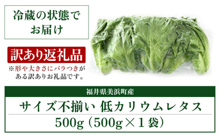 【訳あり】低カリウムレタス 500g 不揃い クリーンルーム栽培 無農薬 鮮度長持ち 【野菜 生野菜 レタス サラダ 水耕栽培 洗わず食べられる 時短 付け合わせ 規格外】レタス フリルレタス 野菜 サラダ ダイエット ヘルシー [m40-a013]