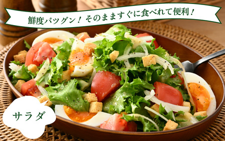 定期便 ≪4ヶ月連続お届け≫ 低カリウムレタス&フリルレタス　計6個セット 全4回 【福井県美浜町産】【野菜 生野菜 レタス サラダ サンドイッチ お弁当 水耕栽培 洗わず食べられる 時短 付け合わせ ダイエット ヘルシー】レタス フリルレタス 野菜 サラダ ダイエット   [m40-b001]