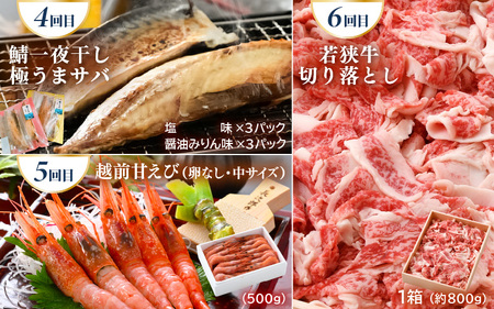 定期便 ≪6ヶ月連続お届け≫ 美浜の美味いもん定期便！ 計6回 若狭牛 越前甘えび 人気の飲むゼリーなど 海鮮定期便 [m60-f003]